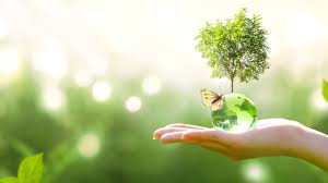 Ecologie